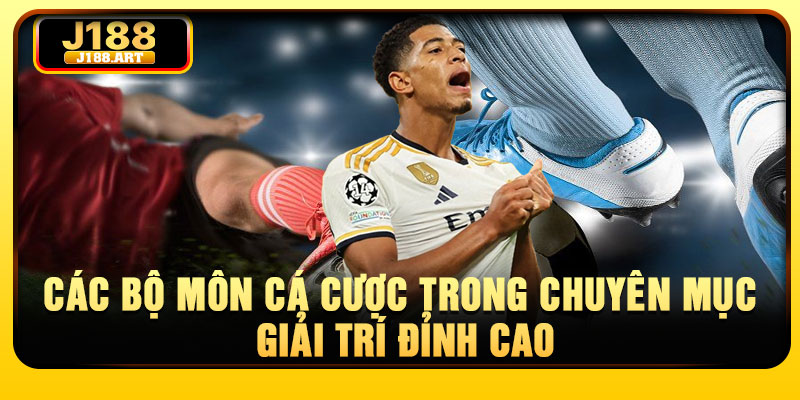 Các bộ môn cá cược trong chuyên mục giải trí đỉnh cao