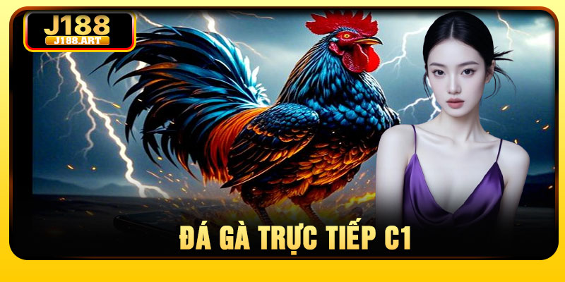 Đá Gà Trực Tiếp C1