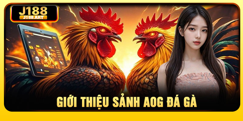 Giới thiệu sảnh AOG đá gà
