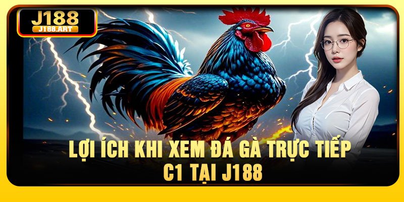 Lợi ích khi xem đá gà trực tiếp C1 Tại J188
