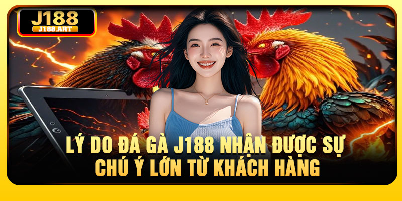 Lý do đá gà J188 nhận được sự chú ý lớn từ khách hàng