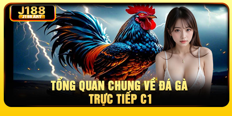 Tổng quan chung về đá gà trực tiếp C1